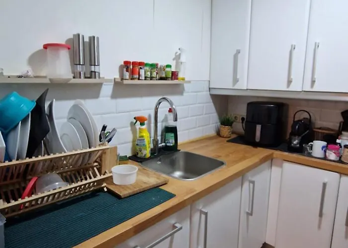 Centro Campus Universidad, Bien Comunicado Lejlighed Zaragoza